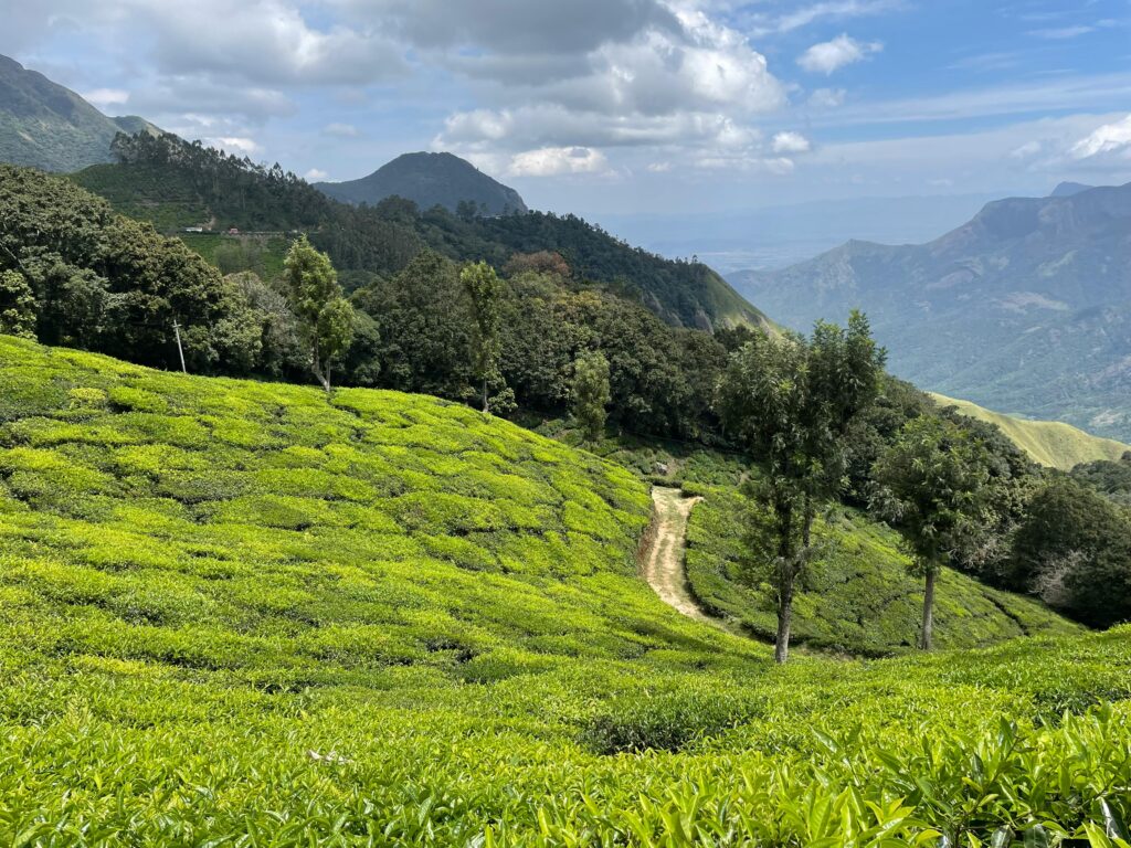 Munnar